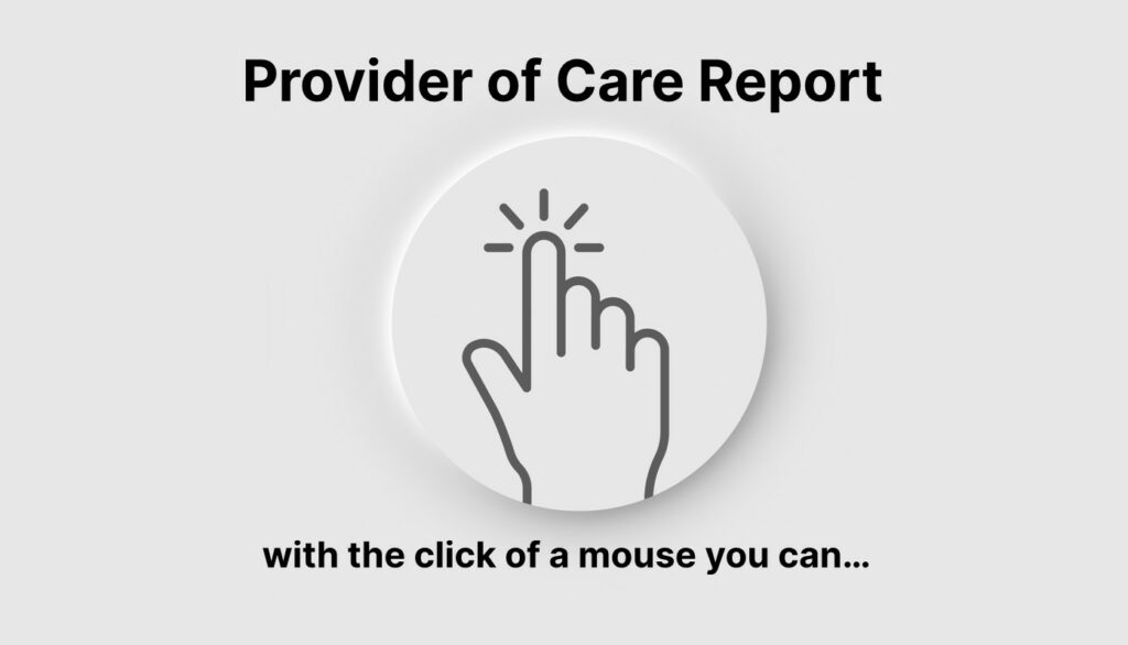 provider of care report - excelas llc